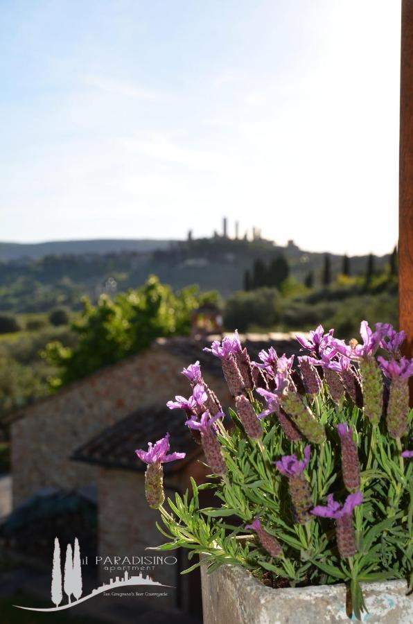 Il Paradisino San Gimignano'S Best Countryside ภายนอก รูปภาพ